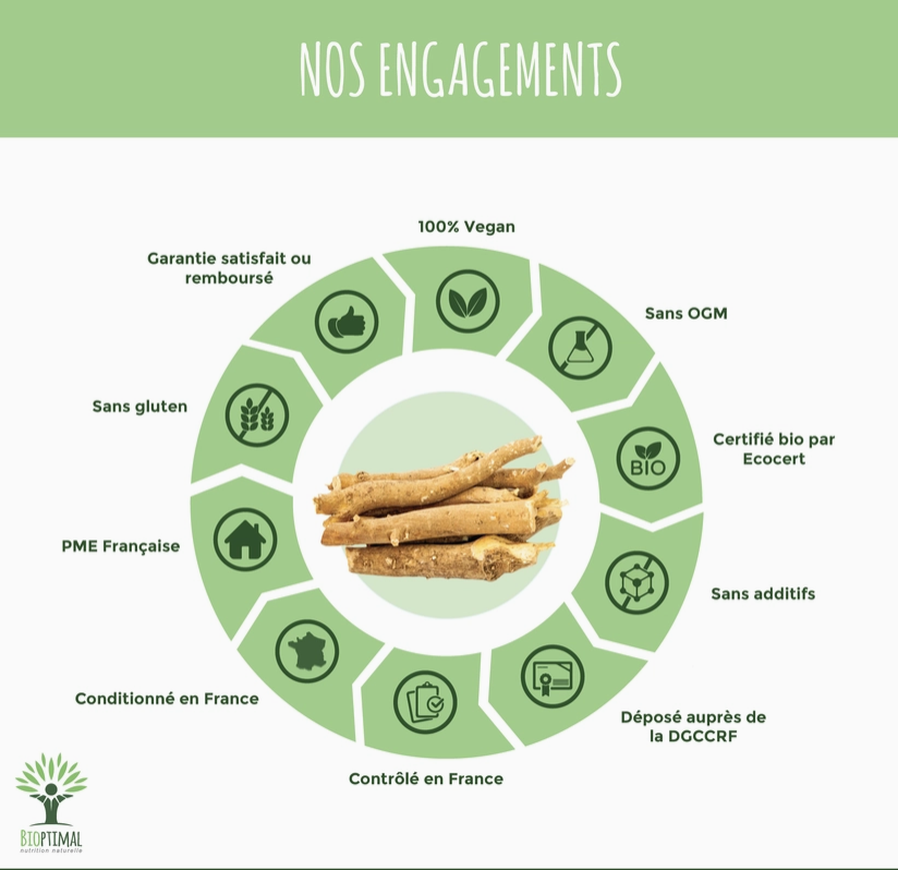 Ashwagandha Bio Poudre - Super Aliment Naturel pour Équilibrer le Stress et Énergiser Votre Corps