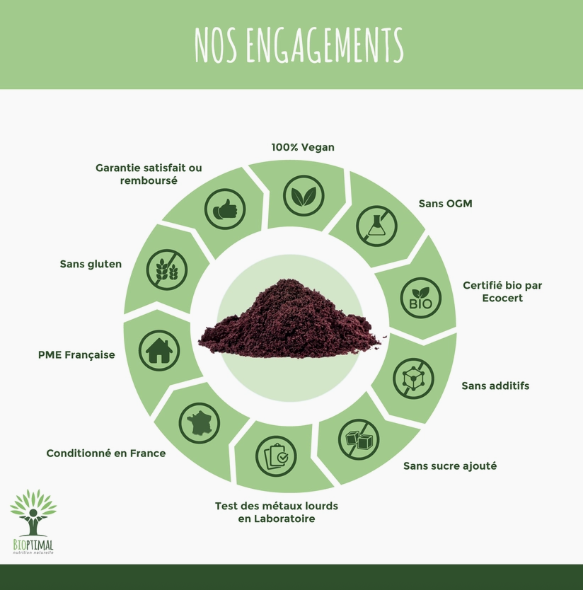 Açaï Bio en poudre
