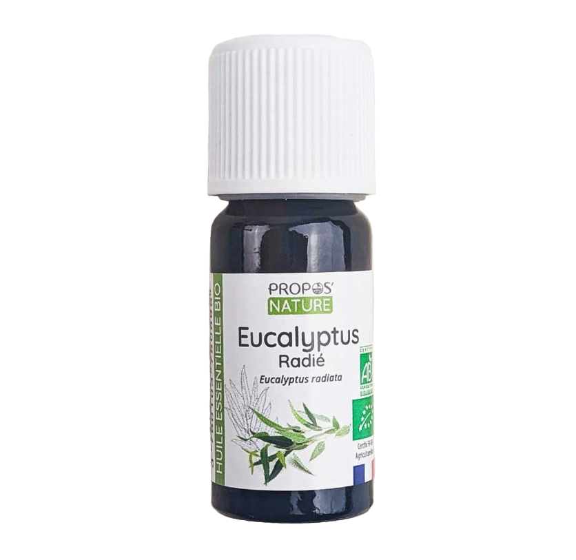 Huile Essentielle d'Eucalyptus radié Bio 10ml - Vita Fit Paris