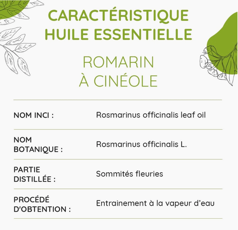 Huile Essentielle de Romarin à Cinéole Bio 10ml