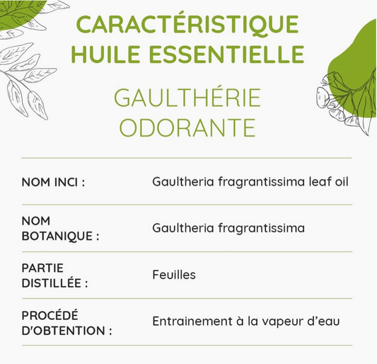 Huile essentielle de Gaulthérie BIO 10 ml – Soin sportif localisé | Vita Fit Paris