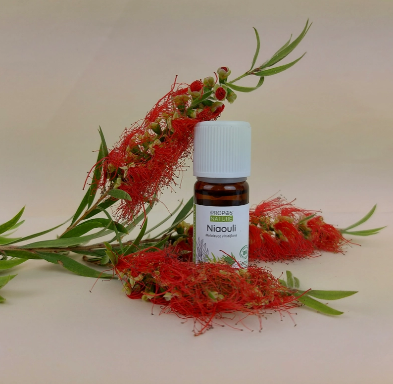 Huile Essentielle de Niaouli Bio 10ml- Vita Fit Paris