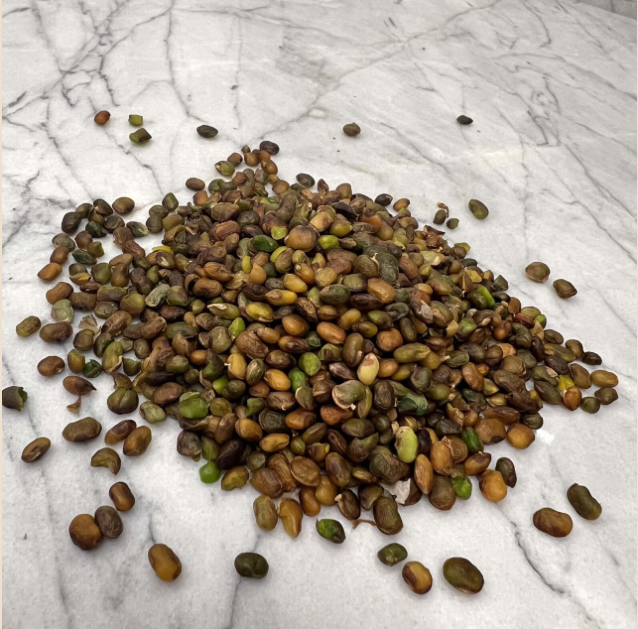 Pistaches sauvages BIO - 100g