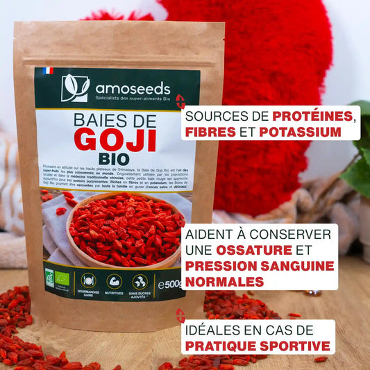 Baies de Goji Bio