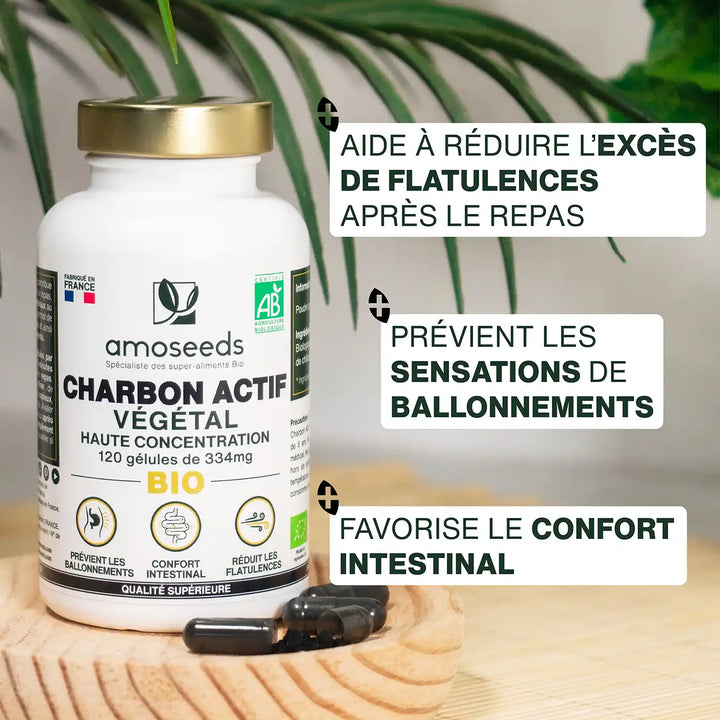 Charbon Actif Végétal Bio | 120 gélules
