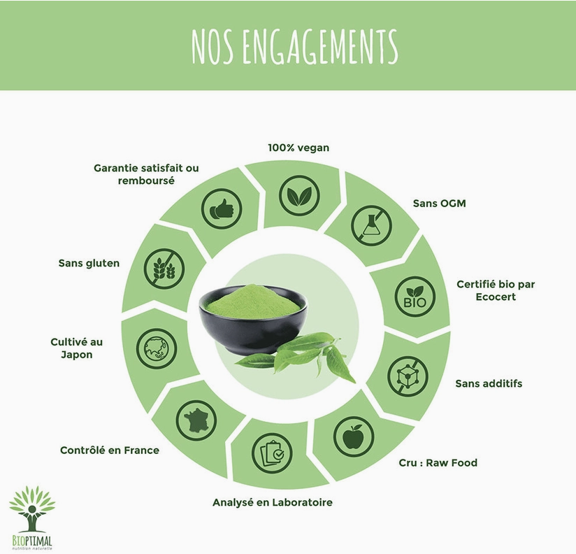 Matcha bio poudre 150g