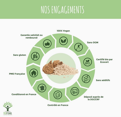 Maca en poudre – Vitalité naturelle | Vita Fit Paris