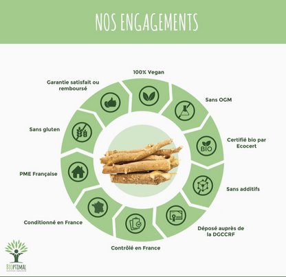 Ashwagandha Bio en poudre