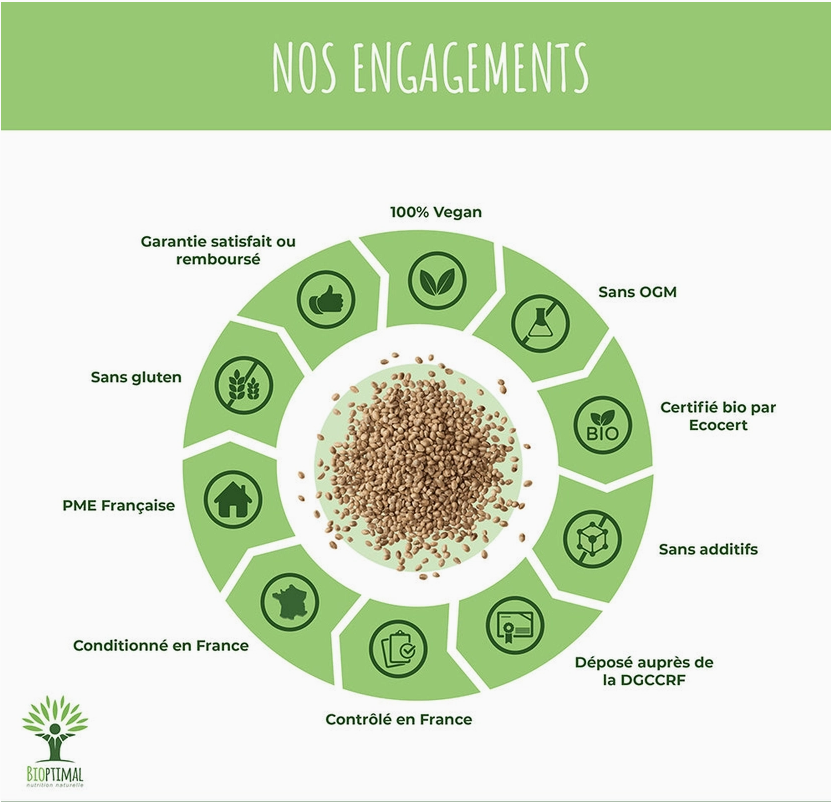 Protéines de chanvre bio poudre