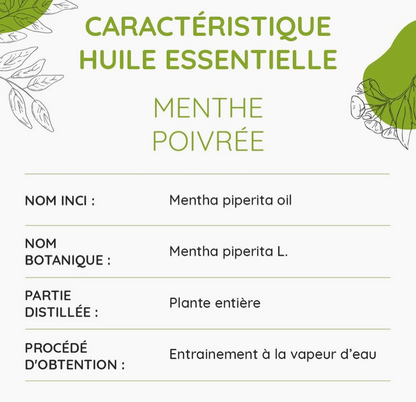Huile essentielle Menthe poivrée BIO 10 ml – Fraîcheur tonique | Vita Fit Paris