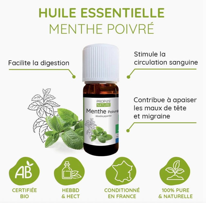 Huile essentielle Menthe poivrée BIO 10 ml – Fraîcheur tonique | Vita Fit Paris