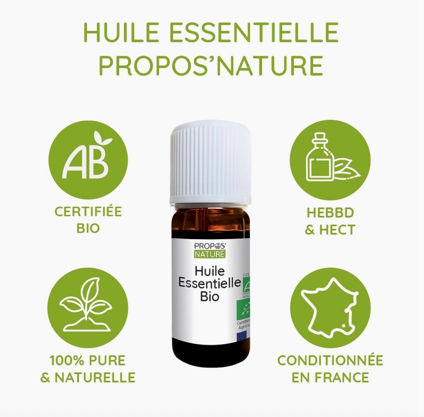 Huile essentielle Menthe poivrée BIO 10 ml – Fraîcheur tonique | Vita Fit Paris