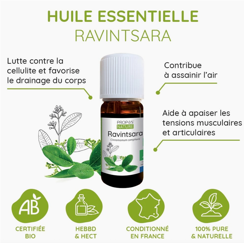 Huile essentielle de Ravintsara BIO 10 ml – Diffusion air clair | Vita Fit Paris