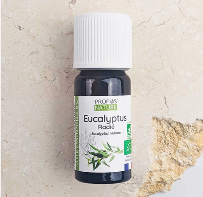 Huile Essentielle d'Eucalyptus radié Bio 10ml - Vita Fit Paris
