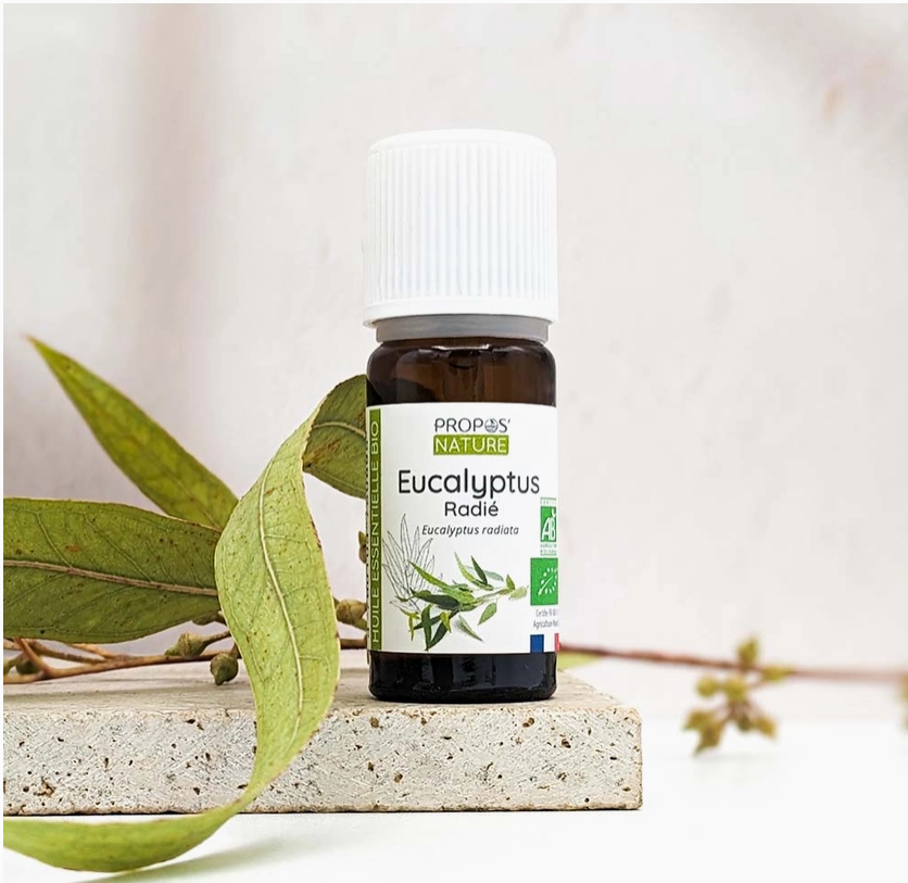 Huile Essentielle d'Eucalyptus radié Bio 10ml - Vita Fit Paris