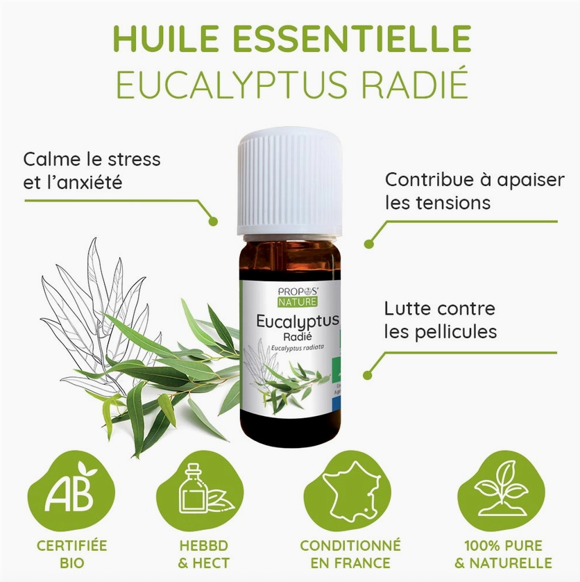 Huile Essentielle d'Eucalyptus radié Bio 10ml - Vita Fit Paris