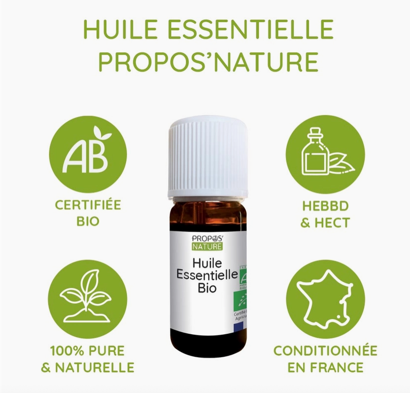 Huile Essentielle d'Eucalyptus radié Bio 10ml - Vita Fit Paris