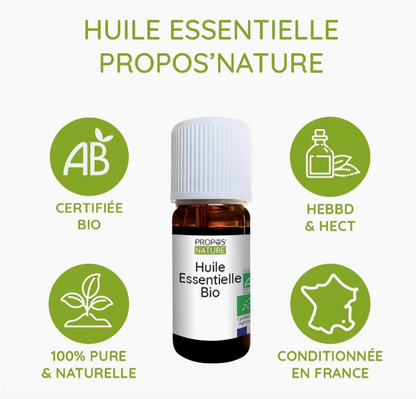 Huile Essentielle d'Eucalyptus radié Bio 10ml - Vita Fit Paris