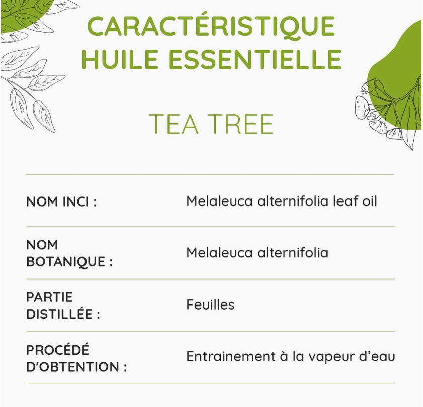 Huile Essentielle de Tea Tree Bio 10 Ml - Vita Fit Paris