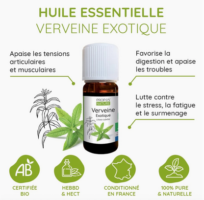Huile essentielle Verveine exotique BIO 10 ml – Note citronnée | Vita Fit Paris