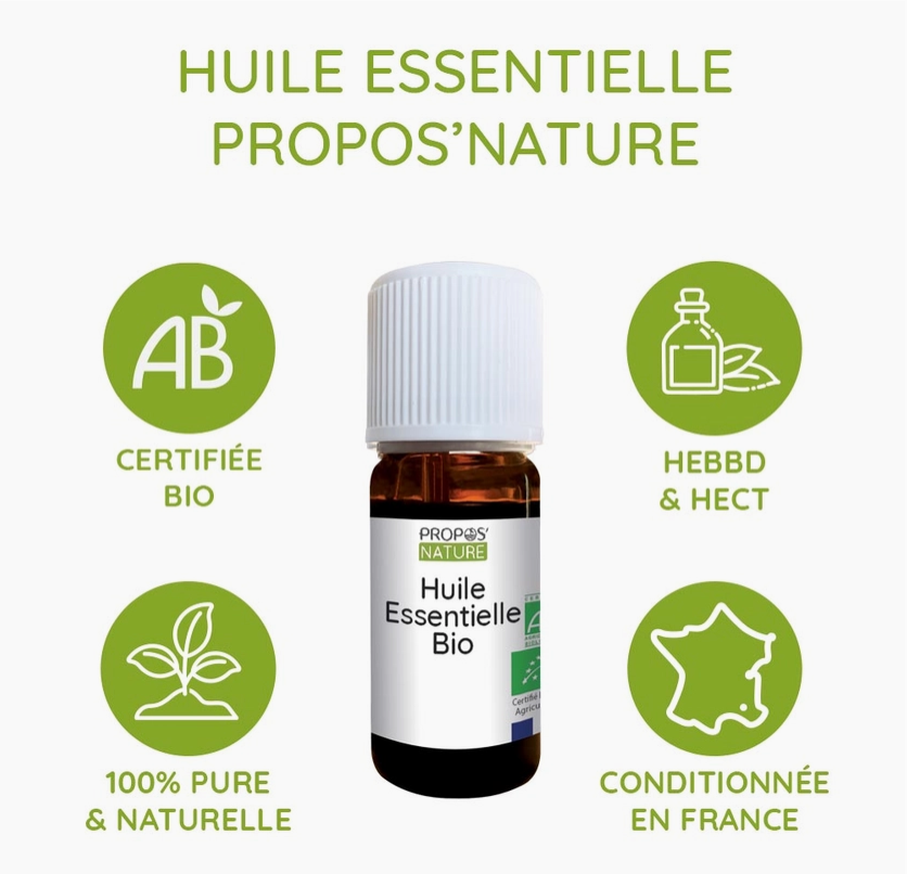 Huile Essentielle de Romarin à Cinéole Bio 10 Ml