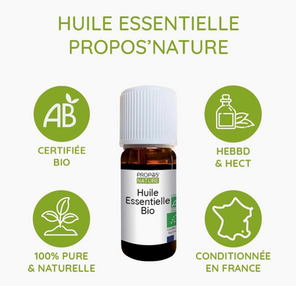 Huile Essentielle de Romarin à Cinéole Bio 10 Ml