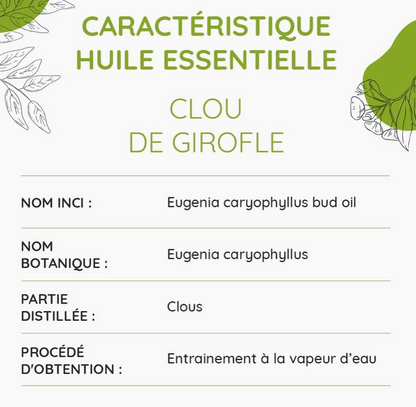 Huile Essentielle de Clou de Girofle Bio 10ml | Vita Fit Paris