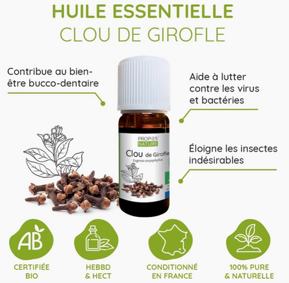 Huile Essentielle de Clou de Girofle Bio 10ml | Vita Fit Paris