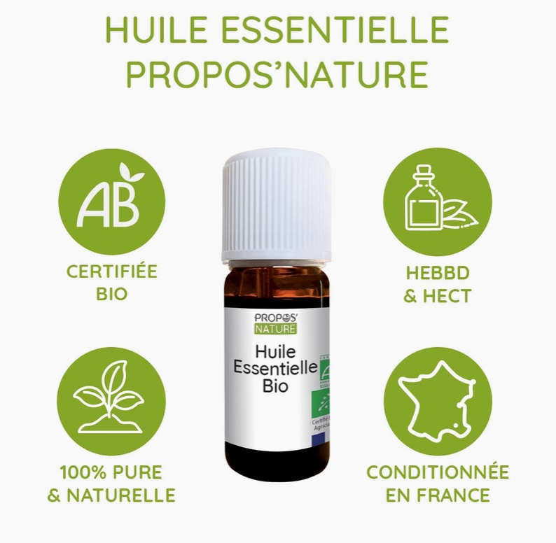 Huile Essentielle de Clou de Girofle Bio 10ml | Vita Fit Paris