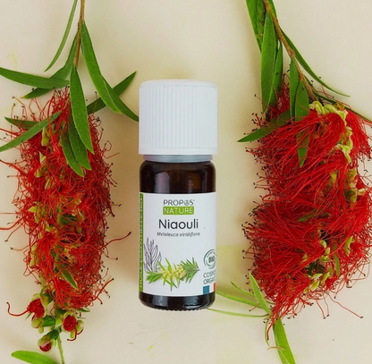 Huile Essentielle de Niaouli Bio 10ml- Vita Fit Paris