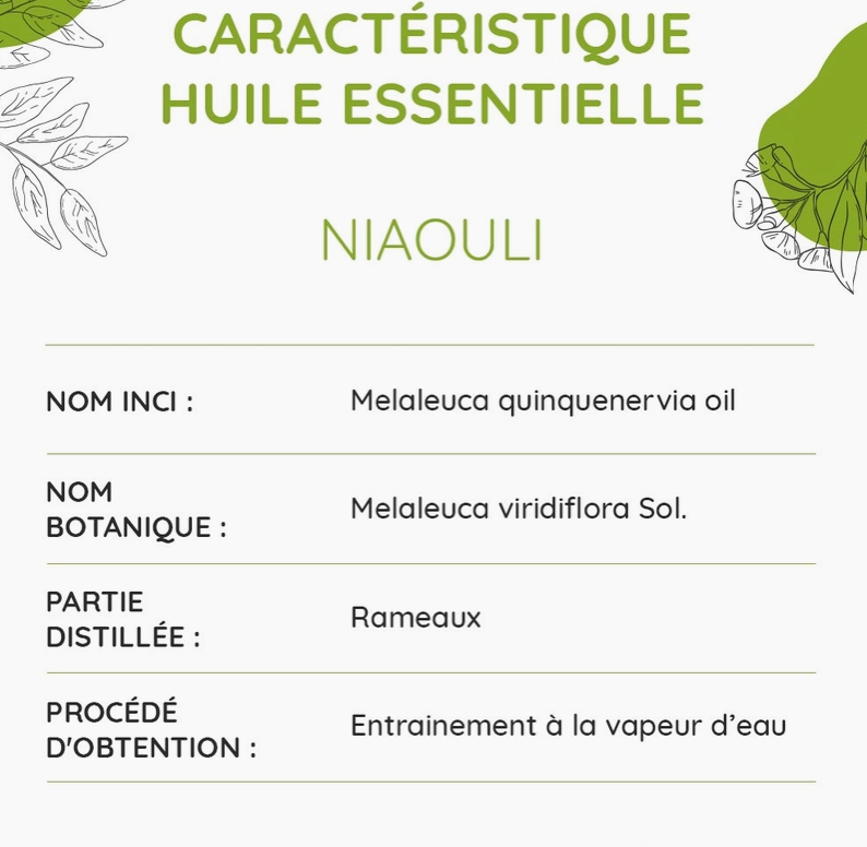 Huile Essentielle de Niaouli Bio 10ml- Vita Fit Paris