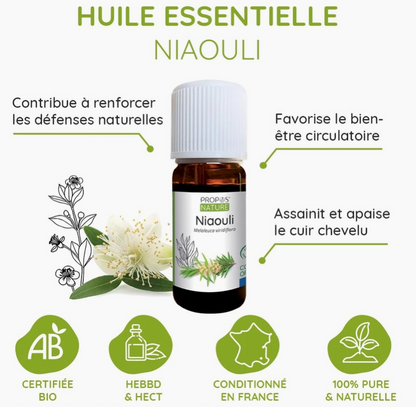 Huile Essentielle de Niaouli Bio 10ml- Vita Fit Paris
