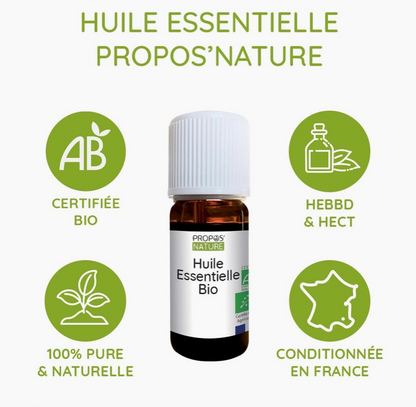 Huile Essentielle de Niaouli Bio 10ml- Vita Fit Paris
