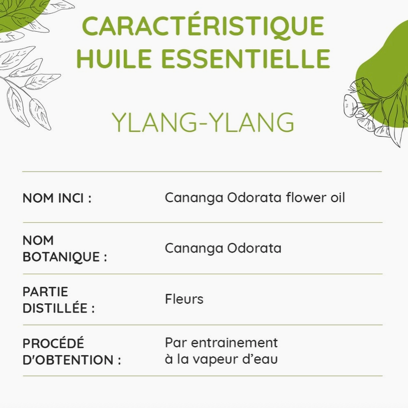 Huile essentielle Ylang-ylang BIO 10 ml – Harmonie florale | Vita Fit Paris