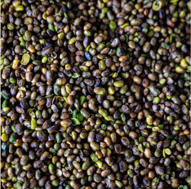 Pistaches sauvages BIO  - 100g