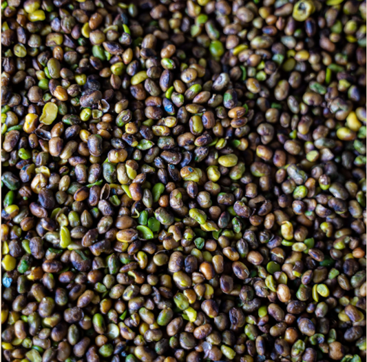 Pistaches sauvages BIO  - 100g