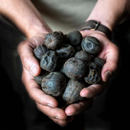 Citrons noirs loomi - 25g