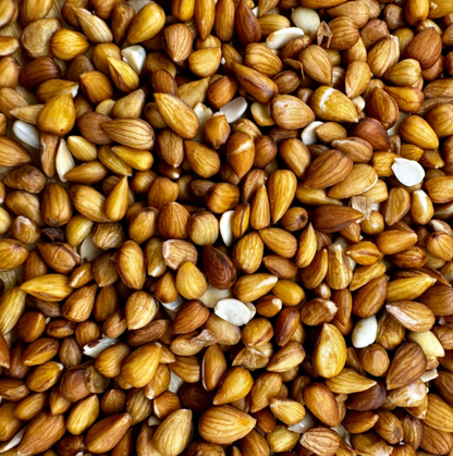 Amandes sauvages BIO  - 100g