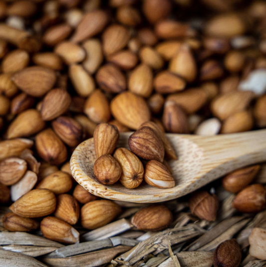 Amandes sauvages BIO  - 100g