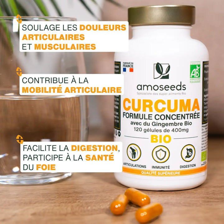 Curcuma bio, formule concentrée - 120 gélules