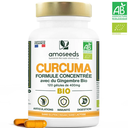 Curcuma bio, formule concentrée - 120 gélules